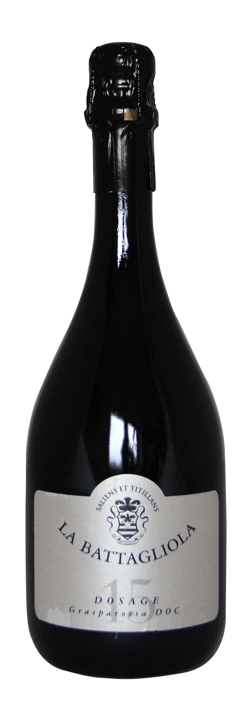 Modena DOC Lambrusco Dosage 15 Vino frizzante secco 2013