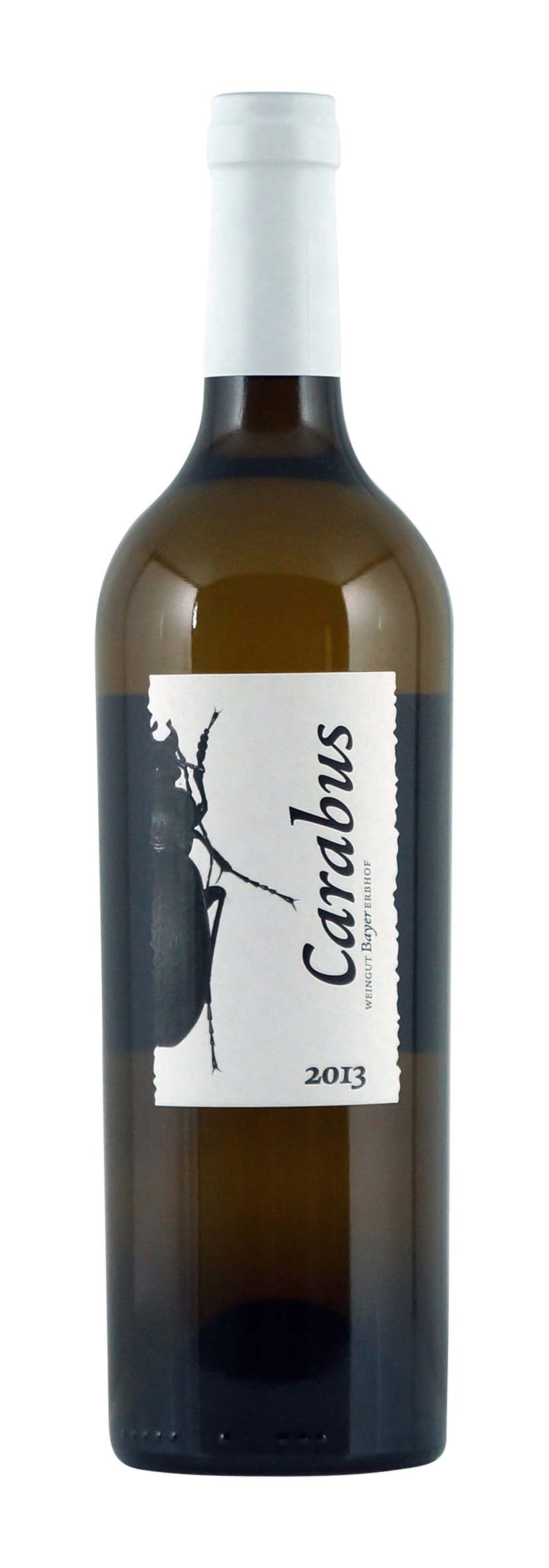 Burgenland Carabus Reserve 2013