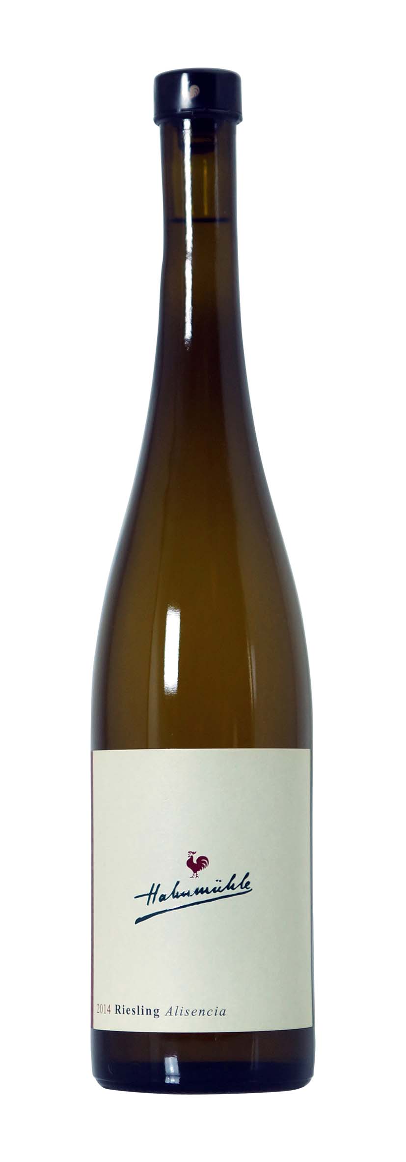 Alsenzer Elkersberg Riesling trocken Alisencia 2014