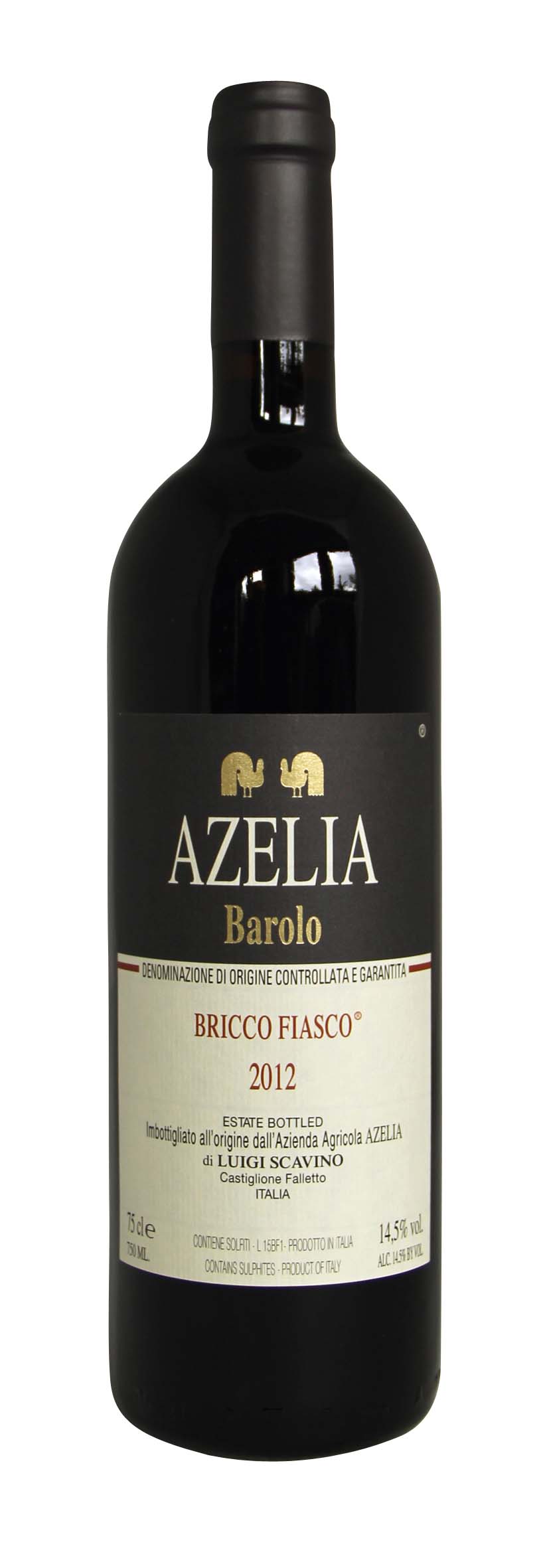 Barolo DOCG Bricco Fiasco 2012