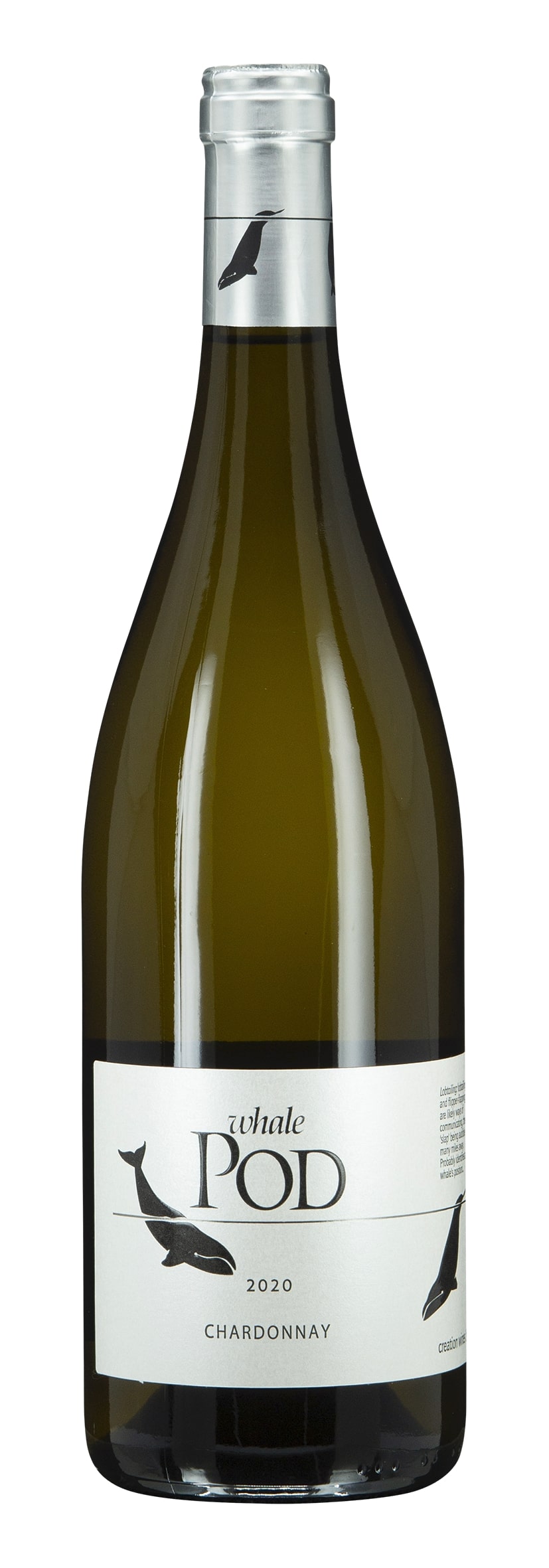 W.O. Cape South Coast Chardonnay Whale Pod 2020