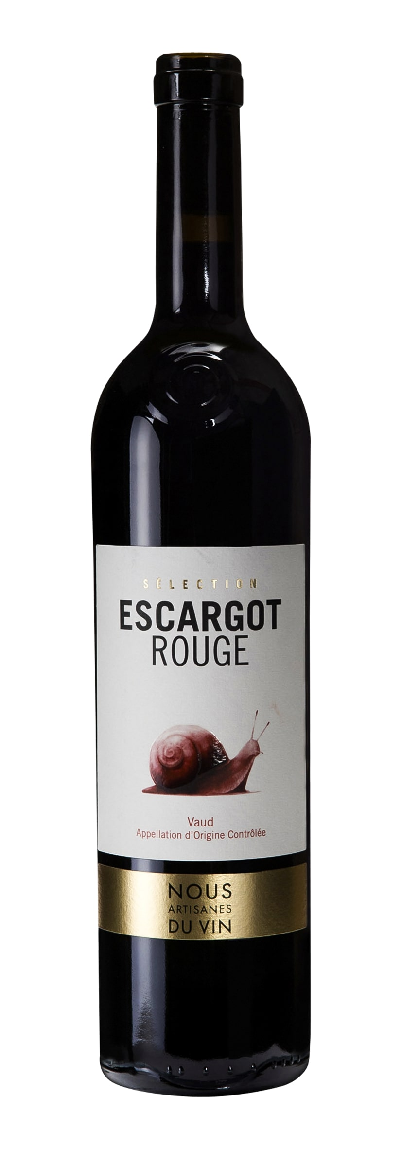 Escargot rouge 2020