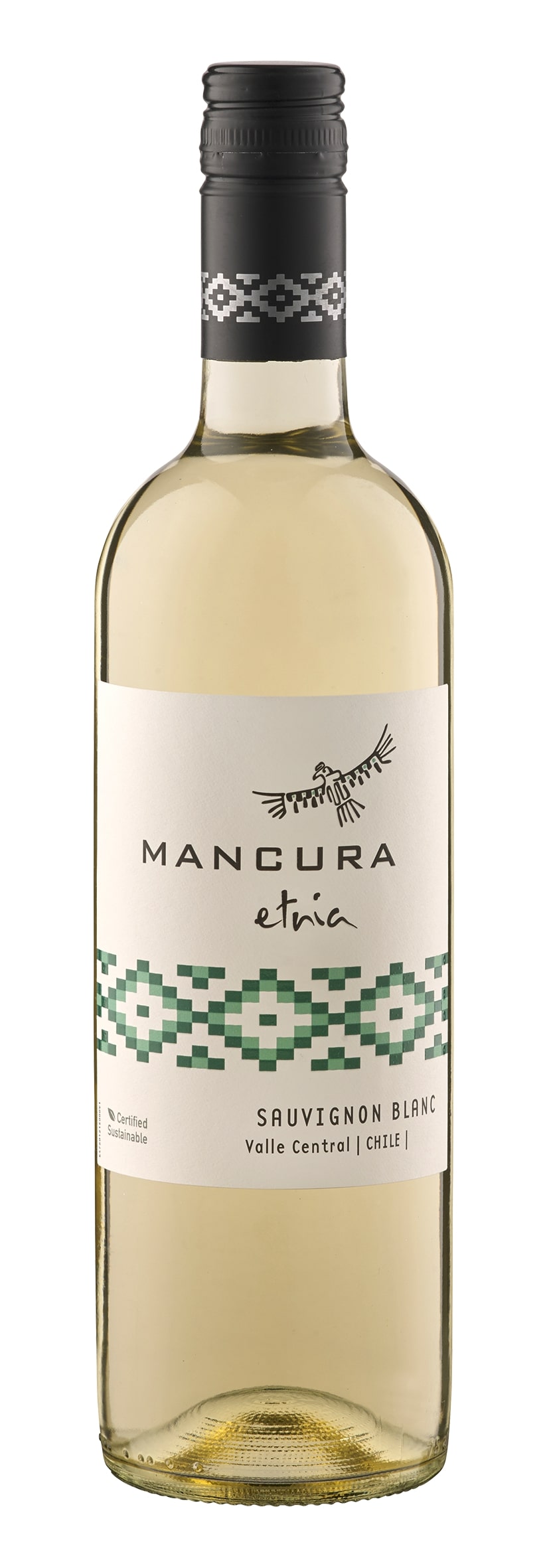 Valle Central Sauvignon Blanc Mancura Etnia 2021