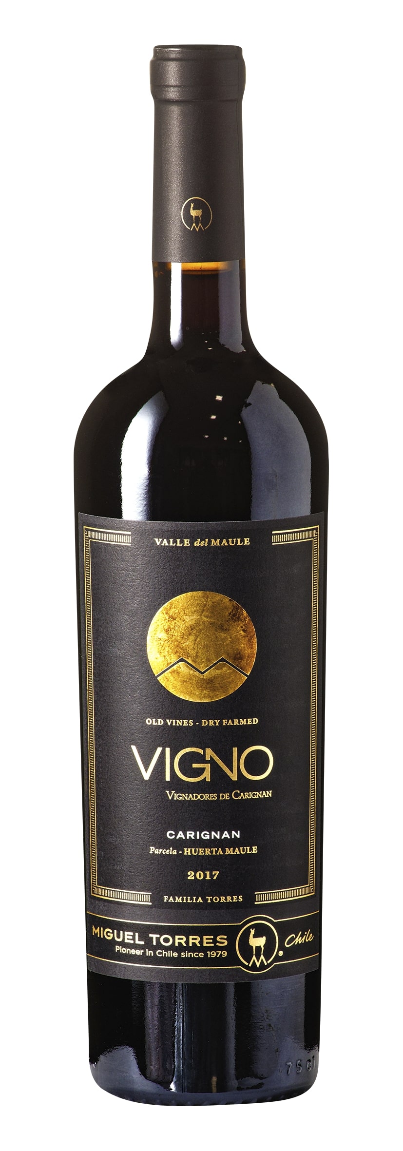 Maule Valley Huerta Maule Carignan VIGNO Old Vines 2017