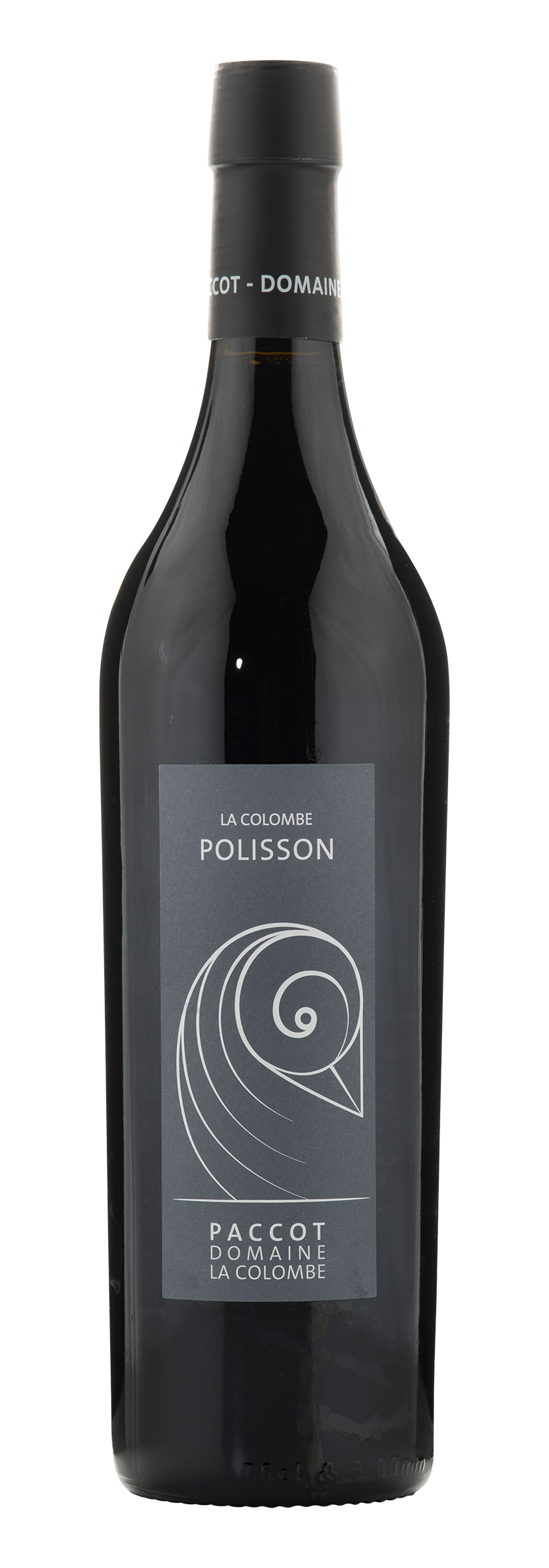 Polisson 2023