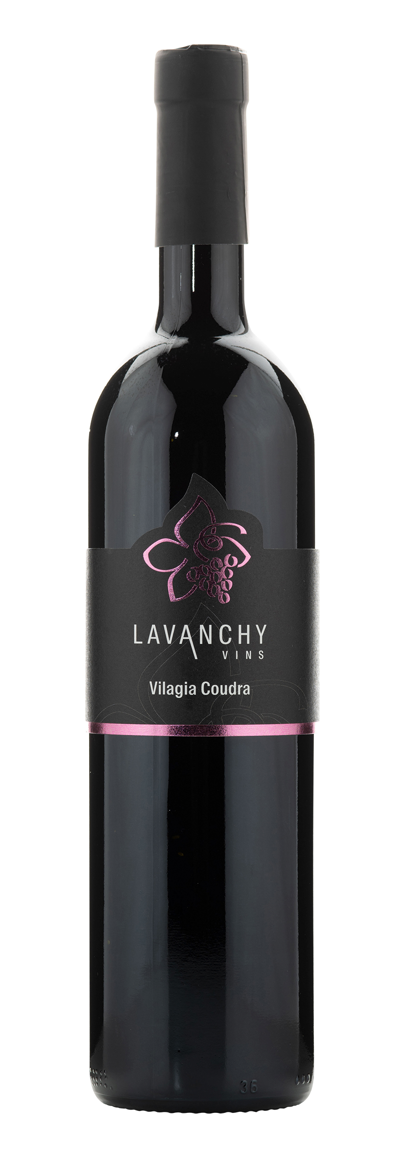 Vilagia Coudra 2023