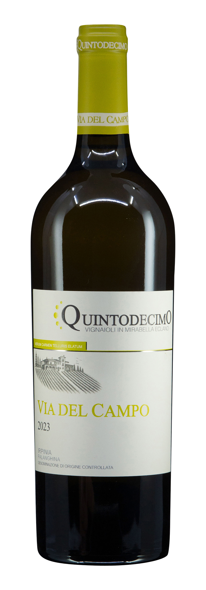 Irpina DOC Falanghina Via del Campo 2023