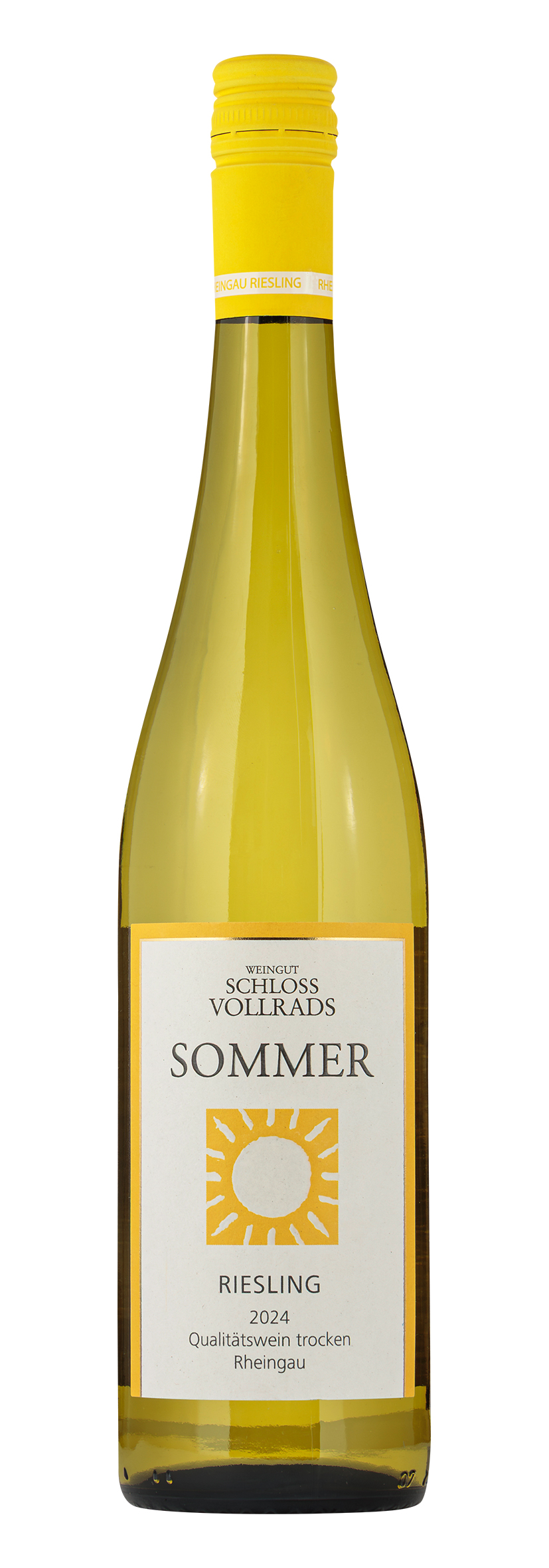 Riesling trocken Sommer 2024
