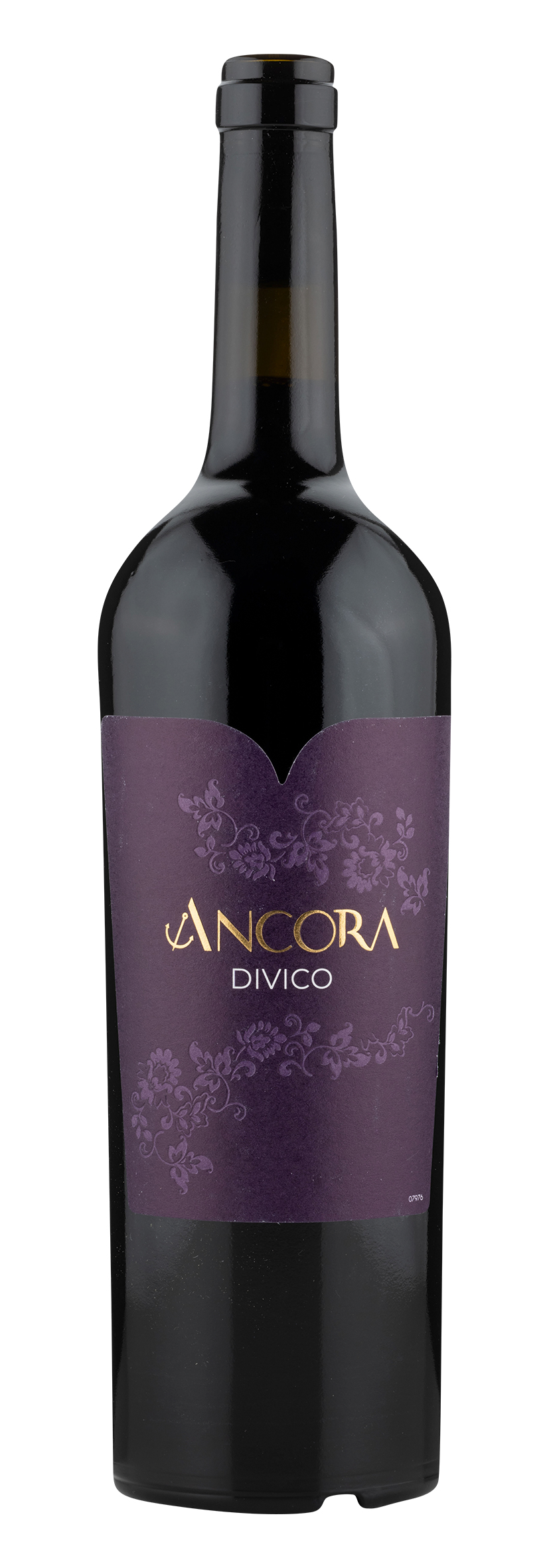 Ancora Divico 2023