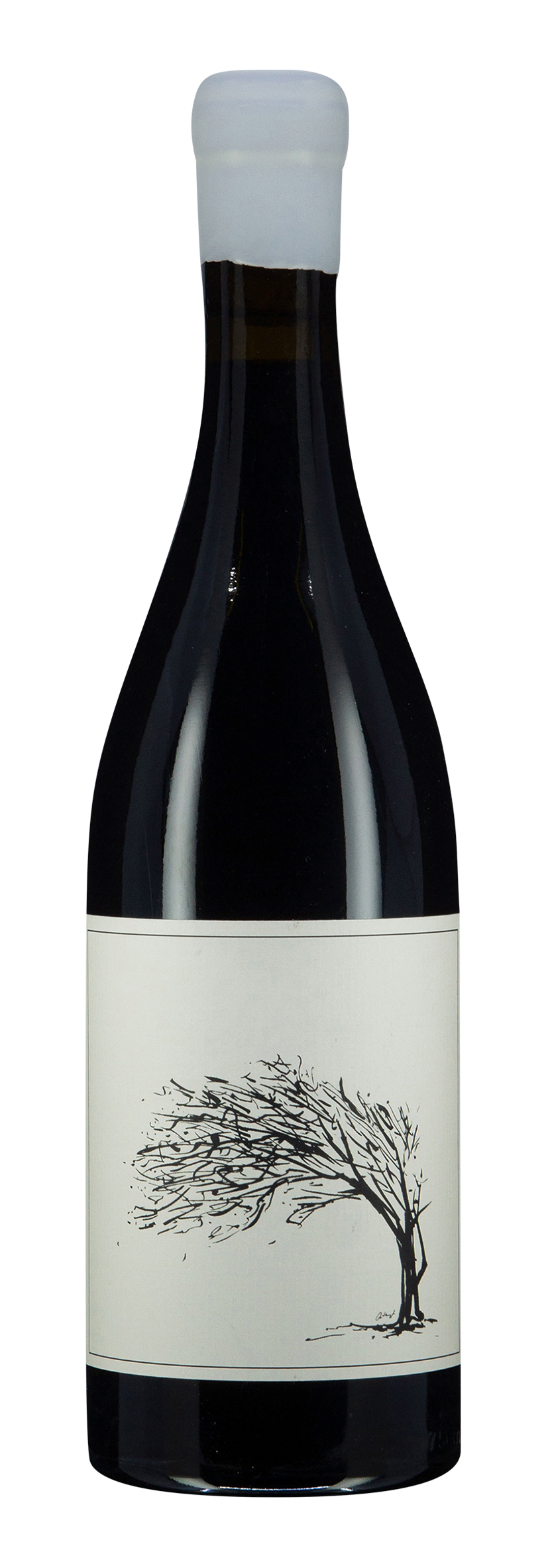 W.O. Cape Town Shiraz Girl next door 2023