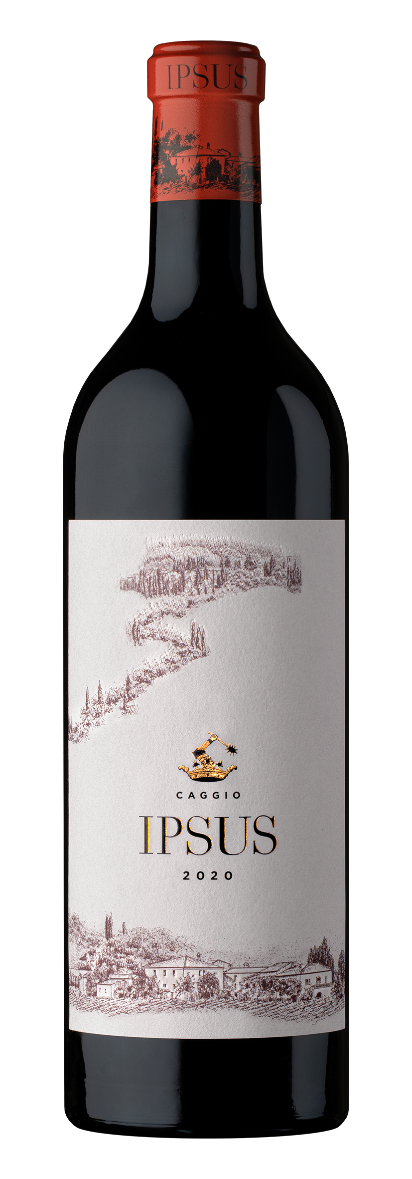 Chianti Classico DOCG Gran Selezione Ipsus 2021
