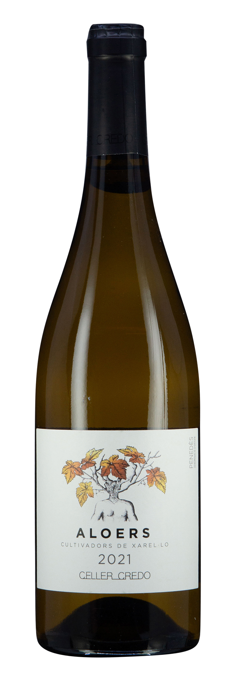 DO Penedès Xarello Aloers 2021