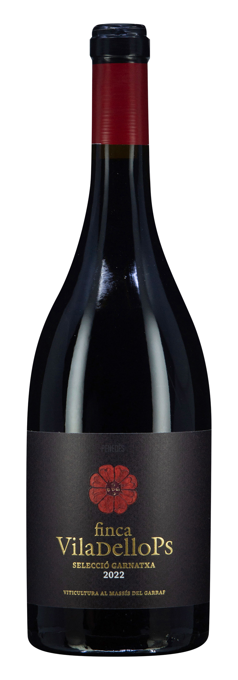 DO Penedès Selecció Garnatxa 2022