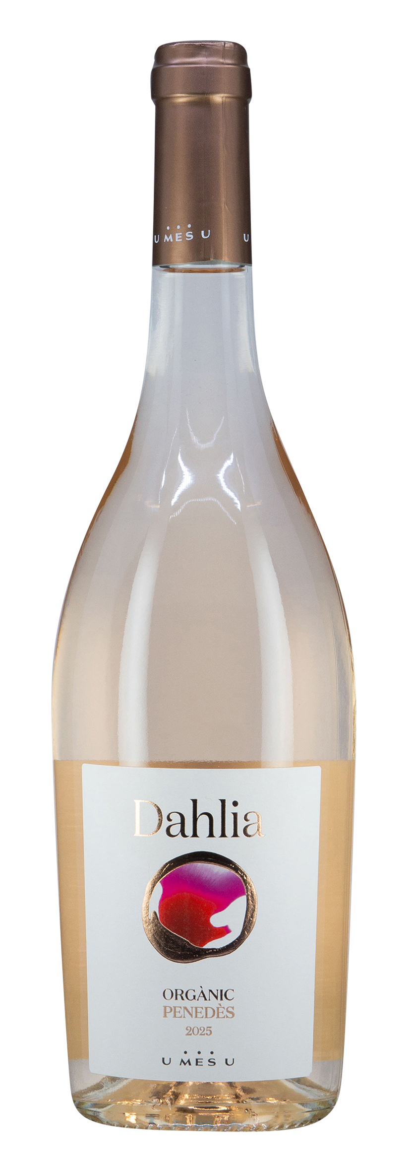 DO Penedès Dahlia 2025