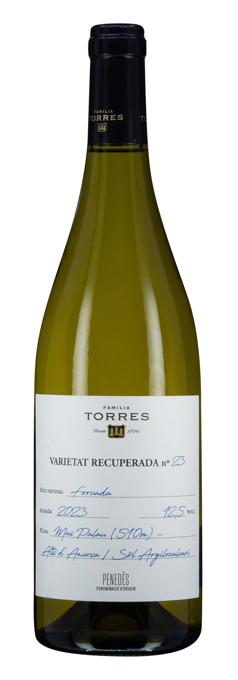 DO Penedès Forcada 2023