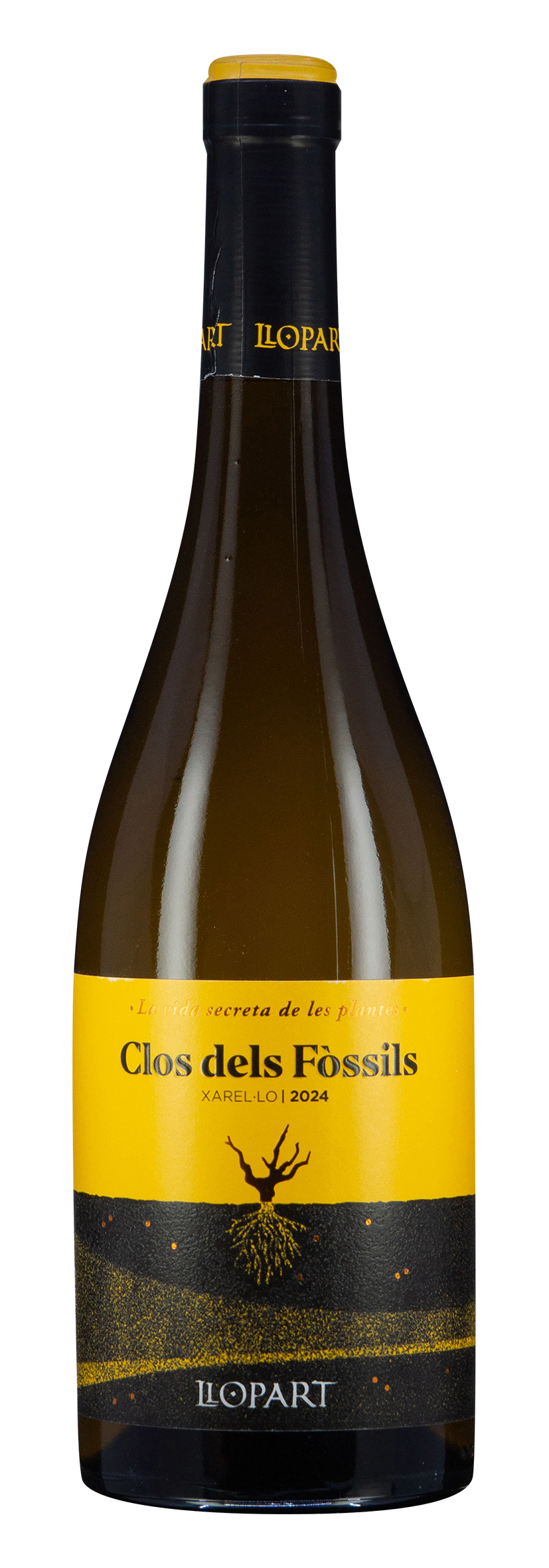 DO Penedès Xarello Clos dels Fòssils 2024