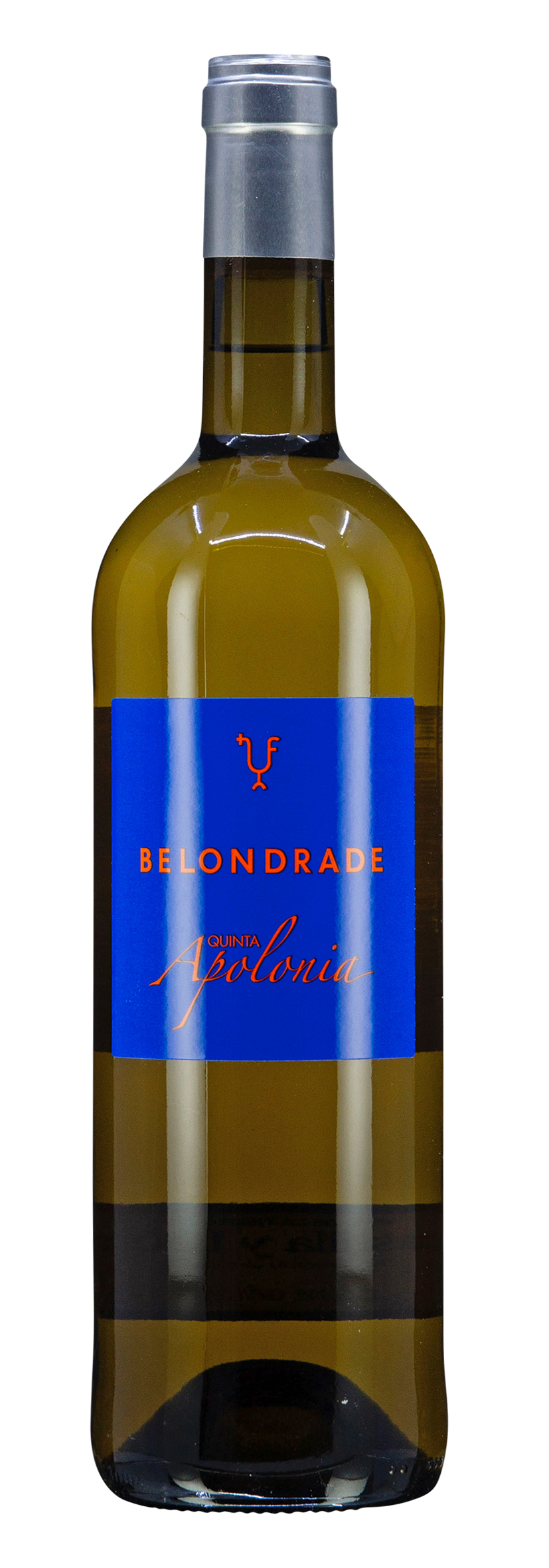 VdT Castilla y León Verdejo Quinta Apolonia 2024