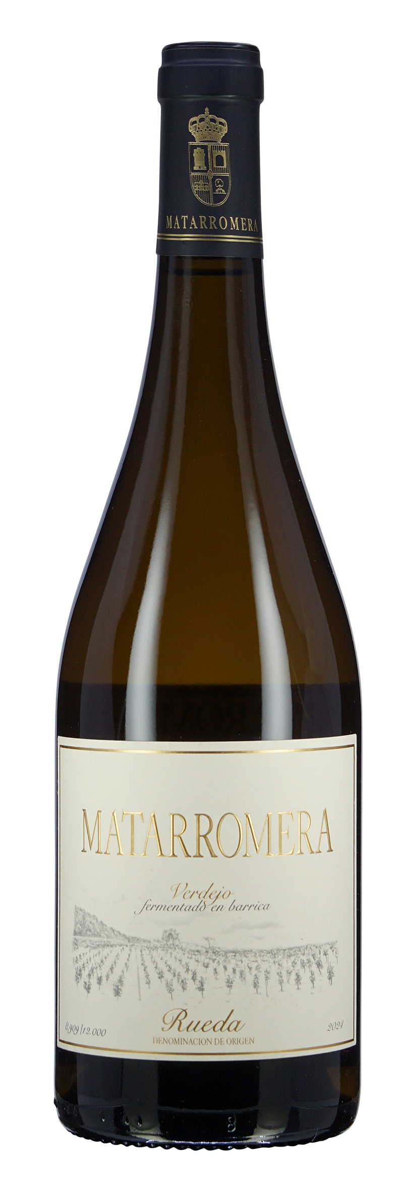 Rueda DO Matarromera Verdejo fermentado en barrica  2024