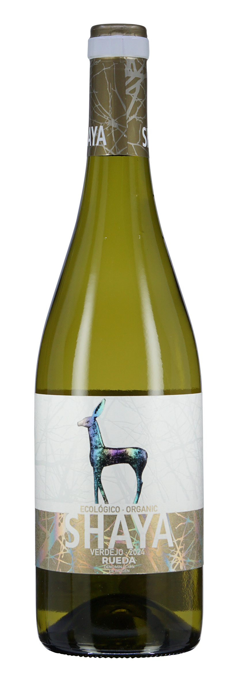 DO Rueda Verdejo Shaya 2024