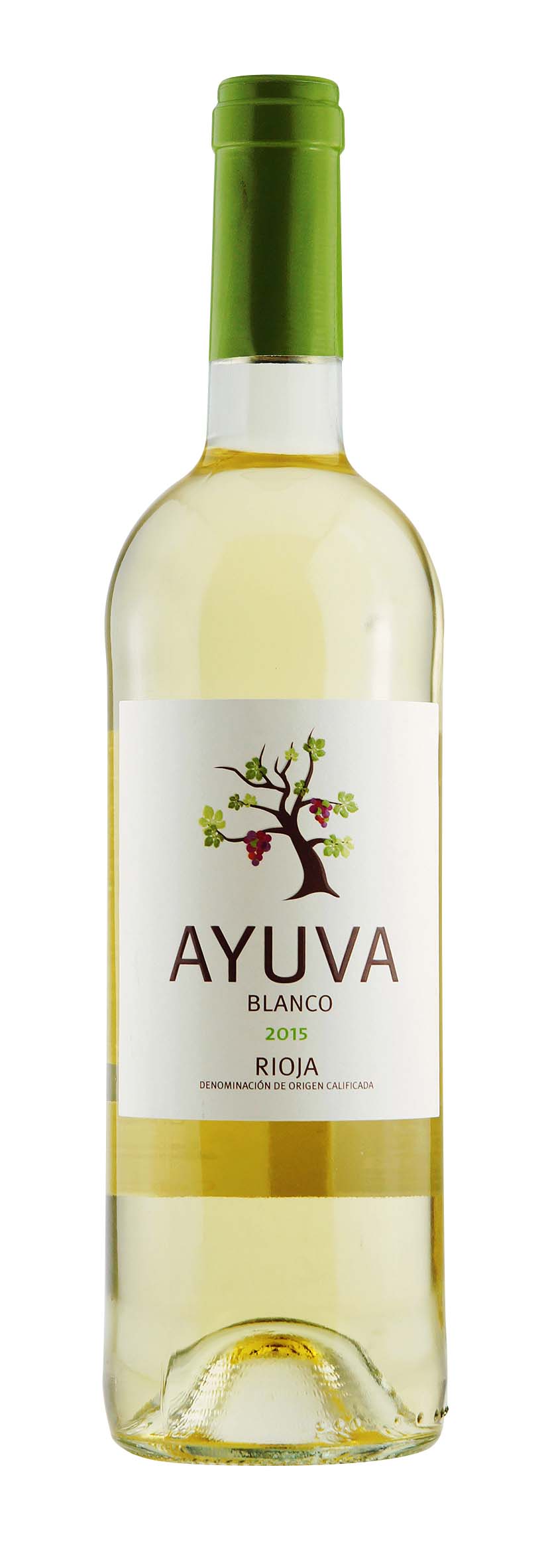 Rioja DOCa Ayuva White 2015