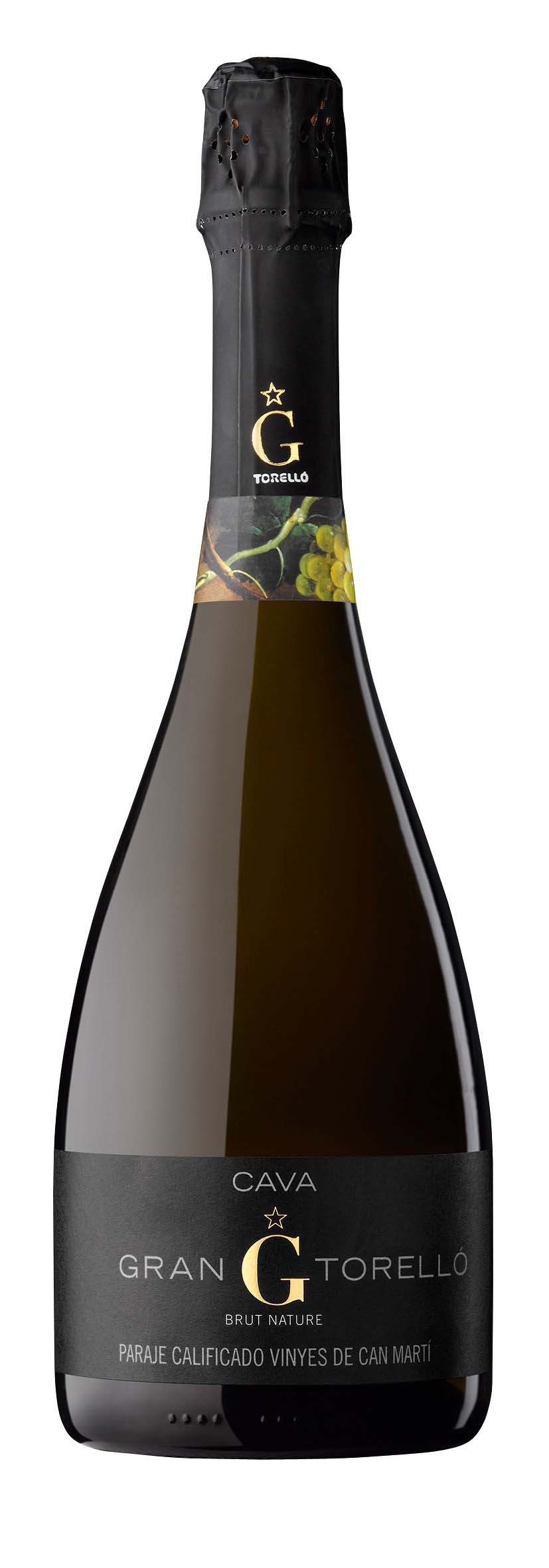 Cava de Paraje Calificado Vineys de Can Martí Gran Torelló Gran Reserva Brut Nature 2013