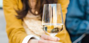 Weintour Masterclass in Zürich 2025