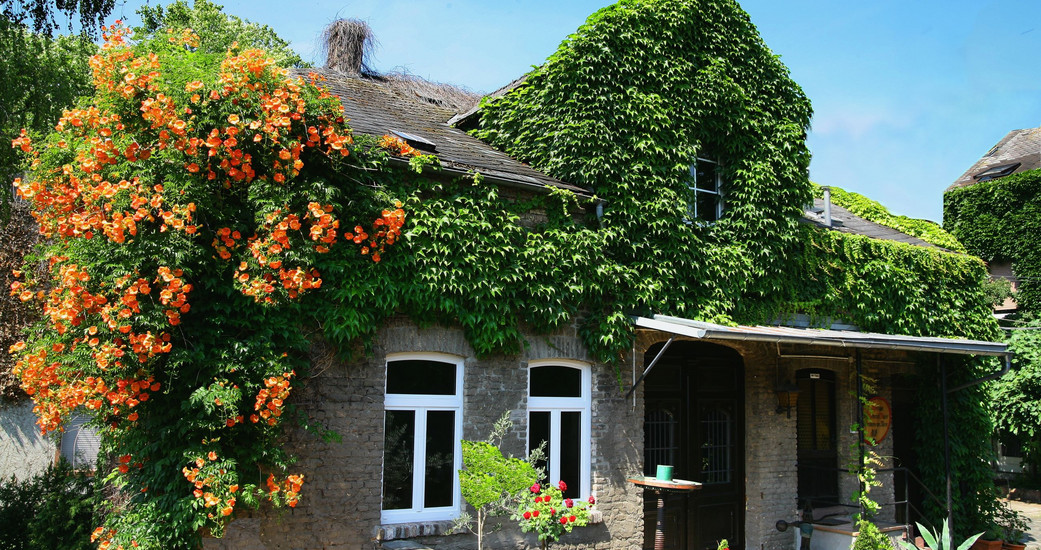 Weingut Dr. Nägler