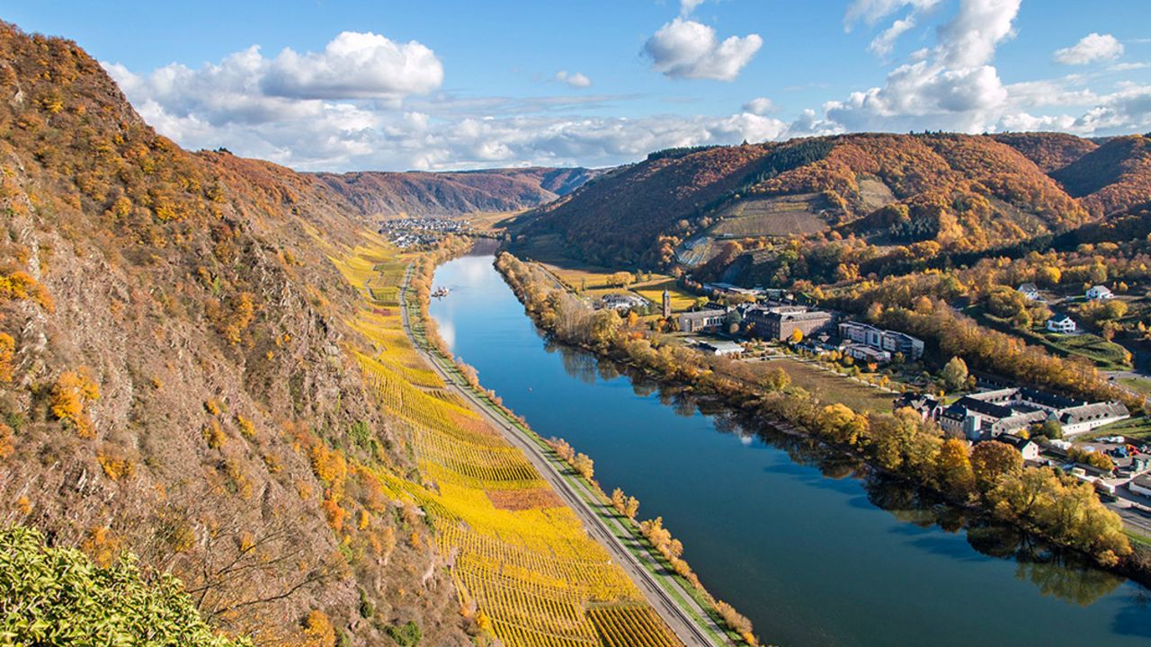 Die besten Winzer der Weinregion Mosel 2025