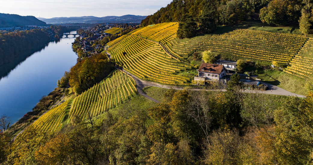 Weingut Pircher