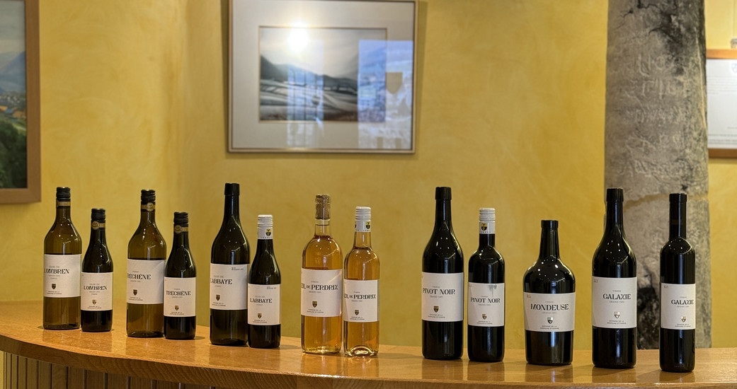 Domaine de la Commune d'Yvorne