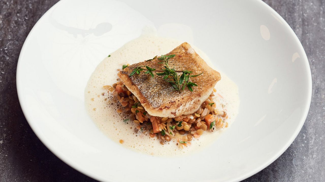 Gebratener Zander auf Linsensalat | Weihnachtsrezept | VINUM