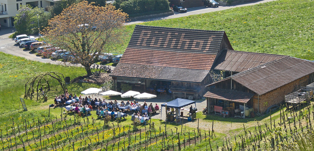 Weingut Rütihof