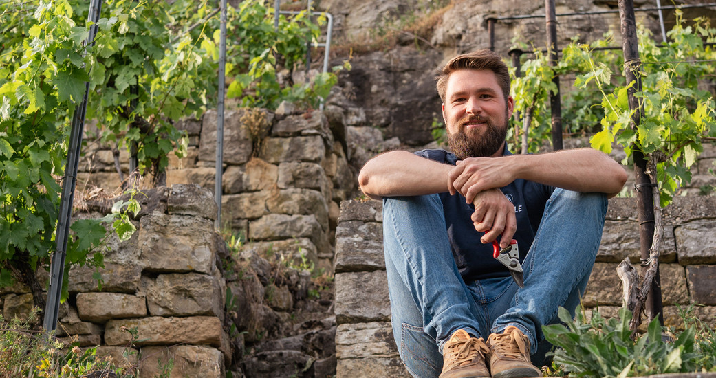 Weingut Schüle