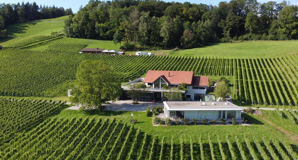 Weingut Nadine Saxer
