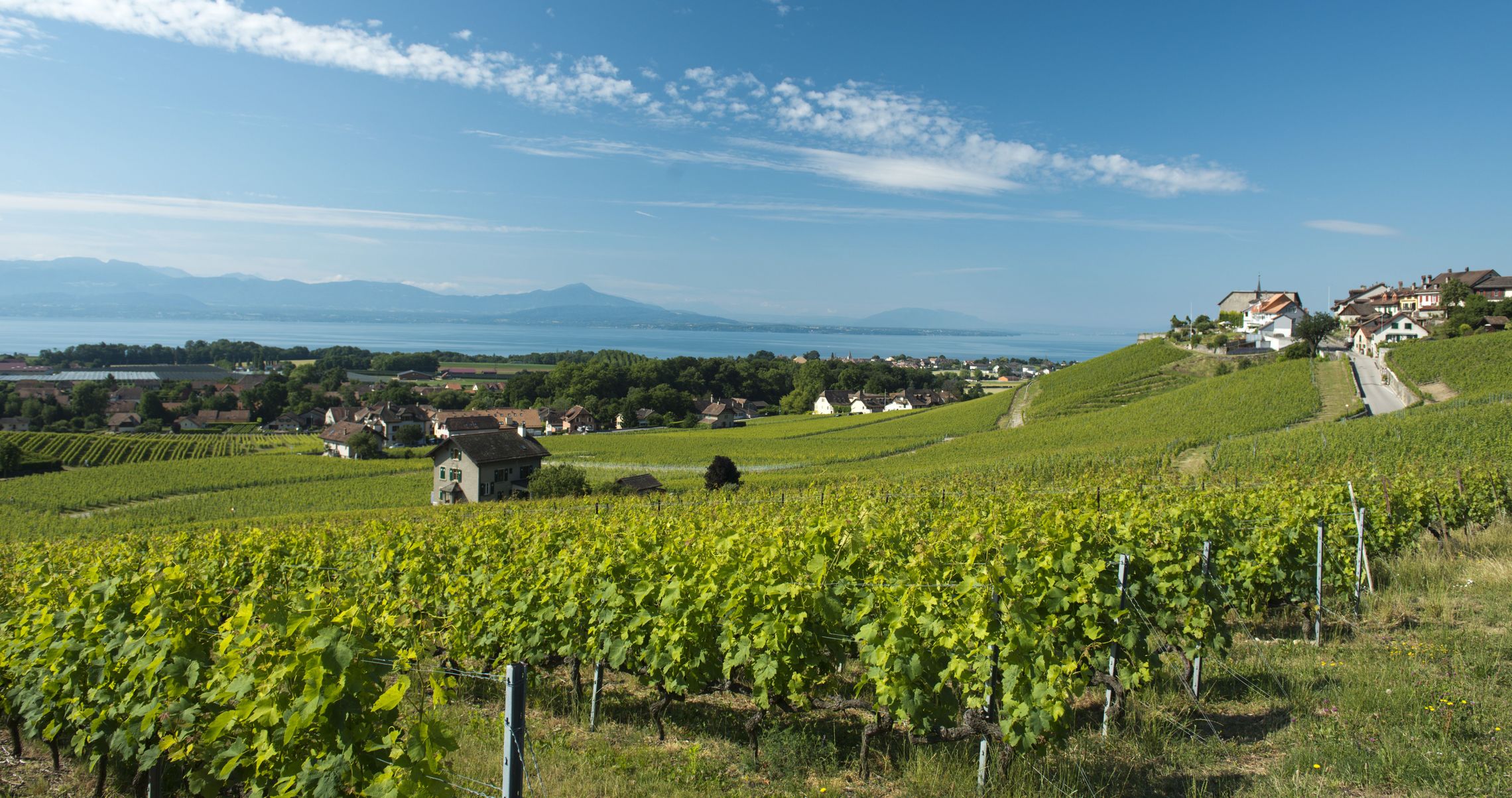 Weinregionen: Waadt