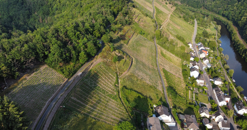 Weingut Schreiberlay