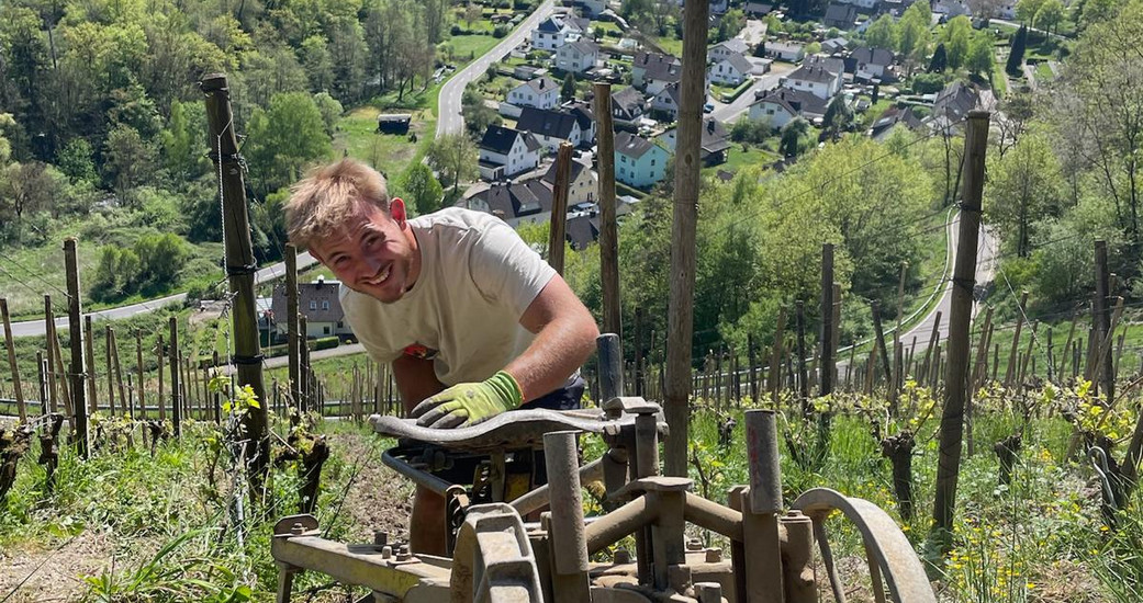 Weingut Schreiberlay