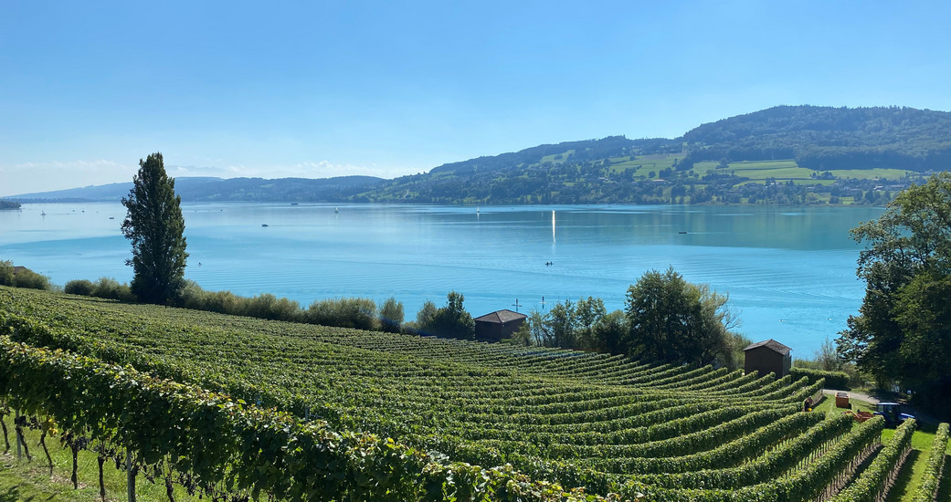 Weingut Lindenmann
