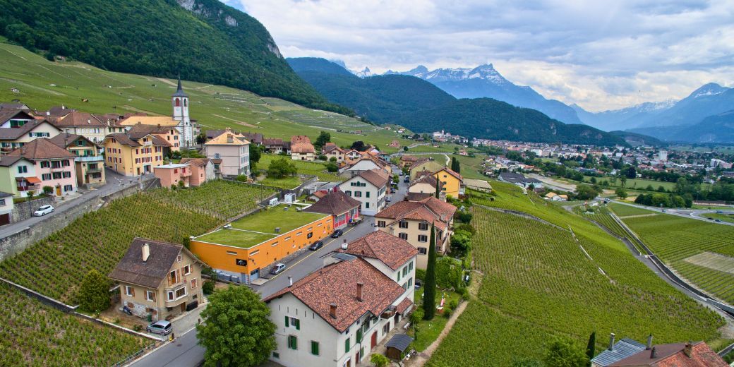 Artisans Vignerons d'Yvorne - AVY