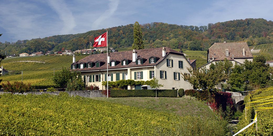 Hammel - Terres de Vins