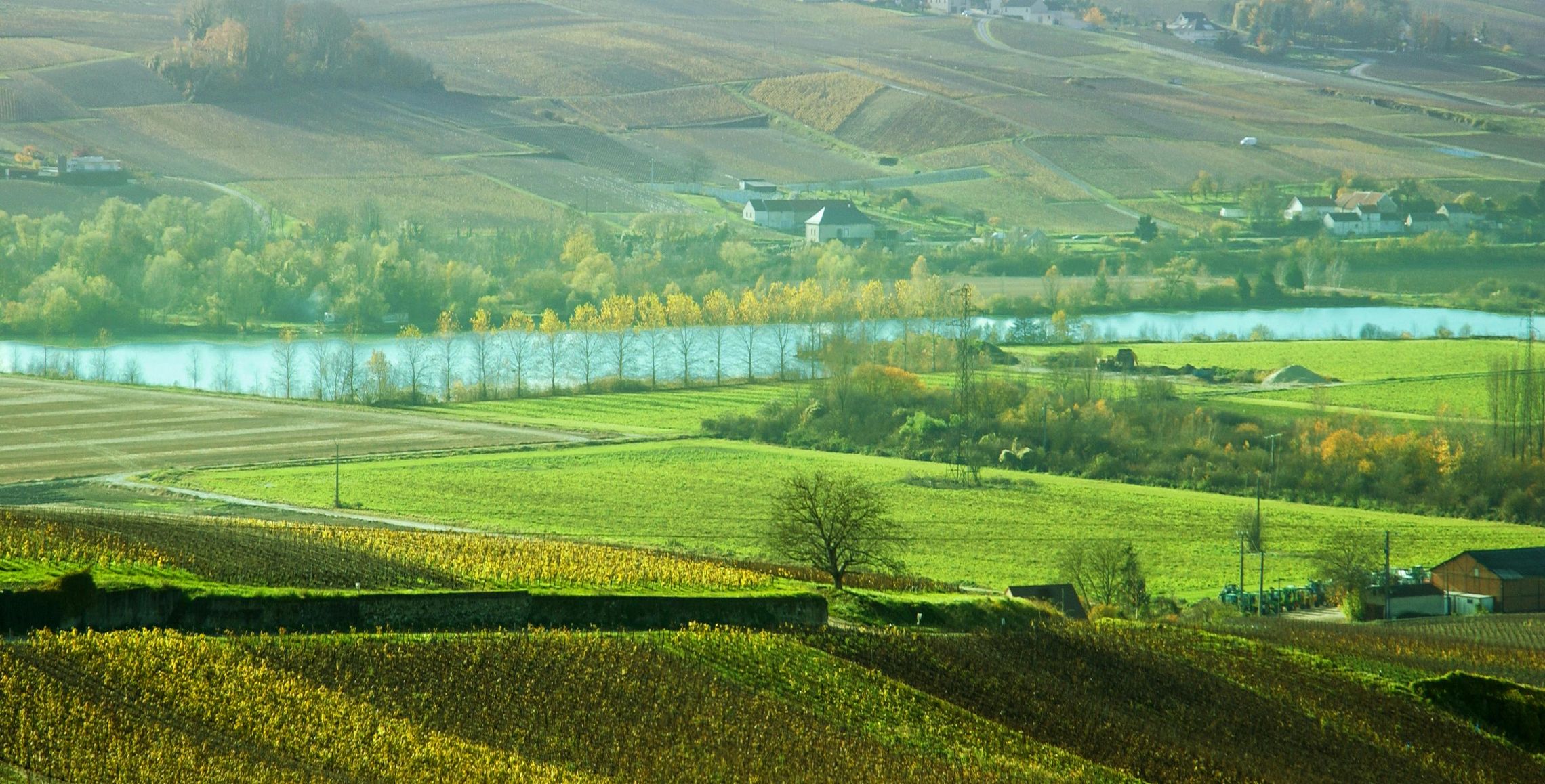 Champagne Vallée de la Marne