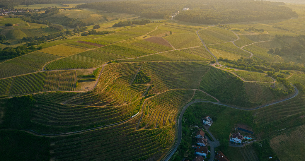 Weingut Mindnich