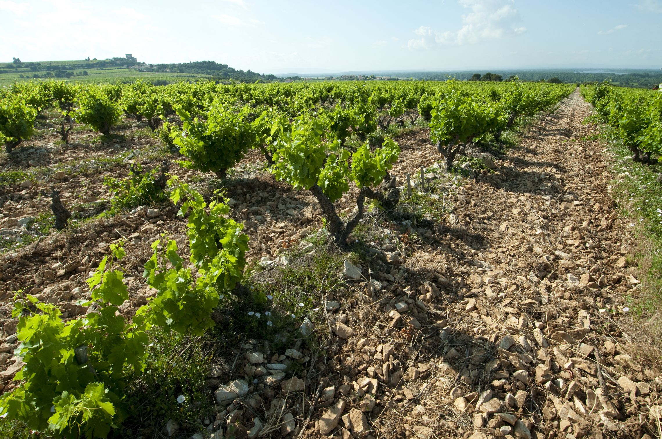 Rhône: Côtes du Rhône Villages