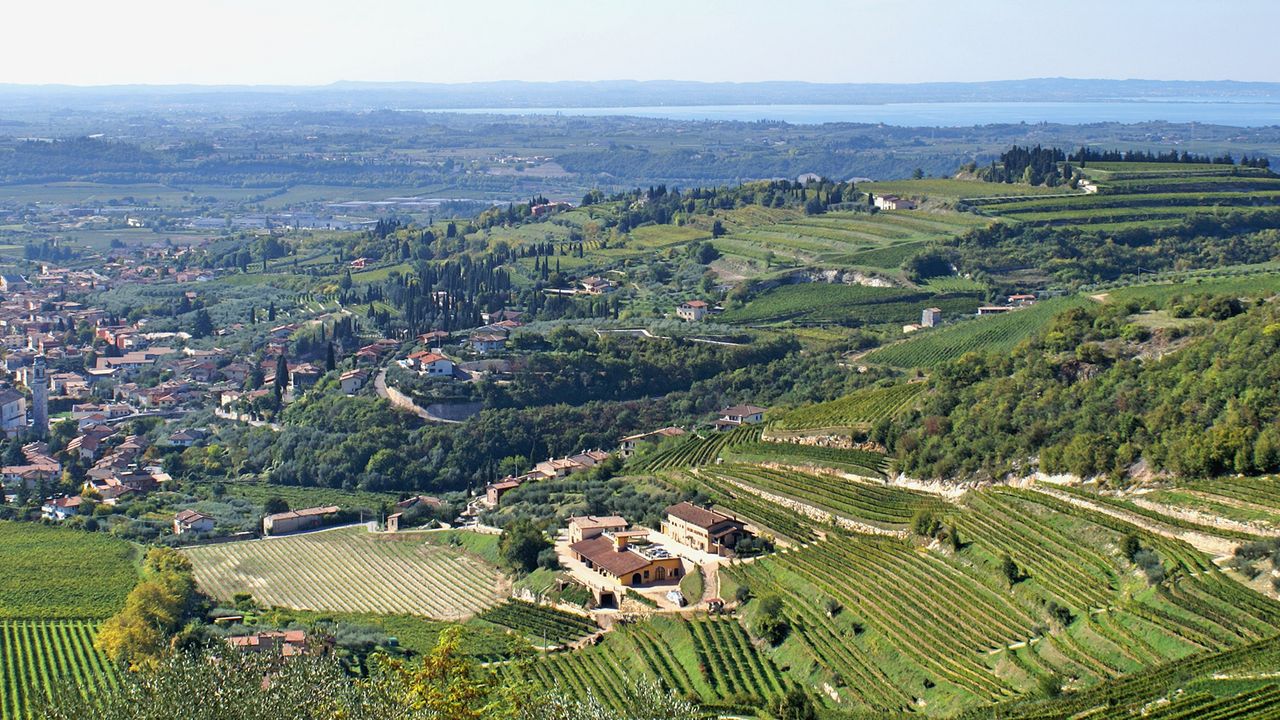 Küche und Kultur im Valpolicella VINUM