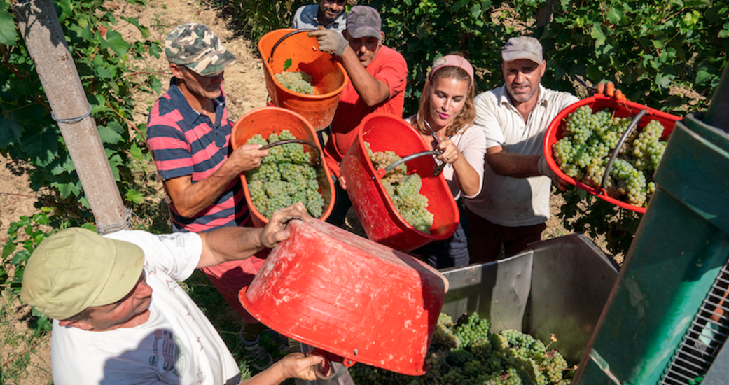 PRELI AG - Das Weingut im Piemont