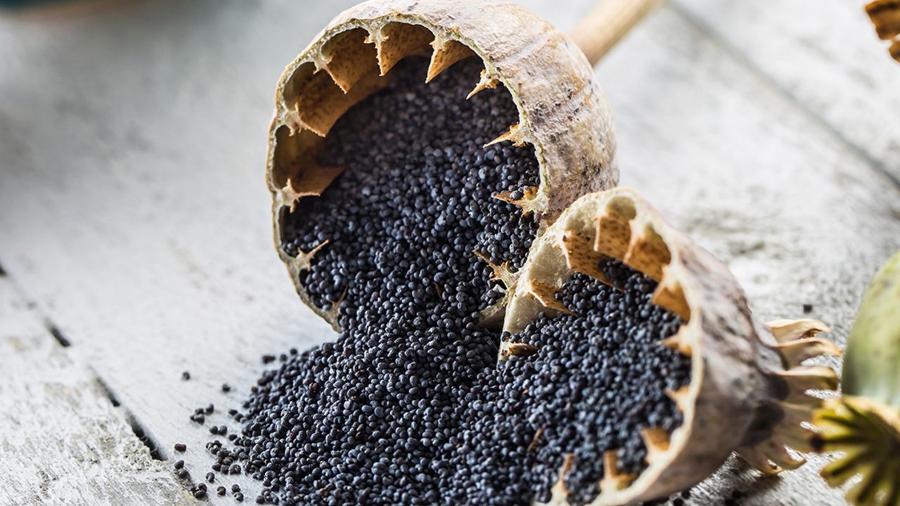 Tokaj Food Pairing Tipps VINUM