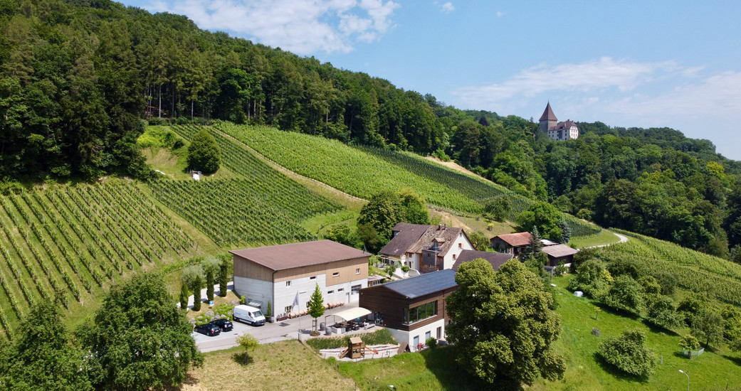 Erlebnisweingut Burkhart