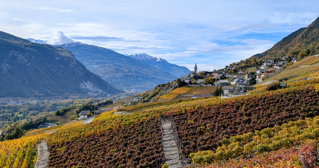Le Vin de l'A
