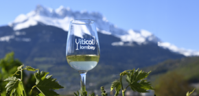 Viticol'lombey