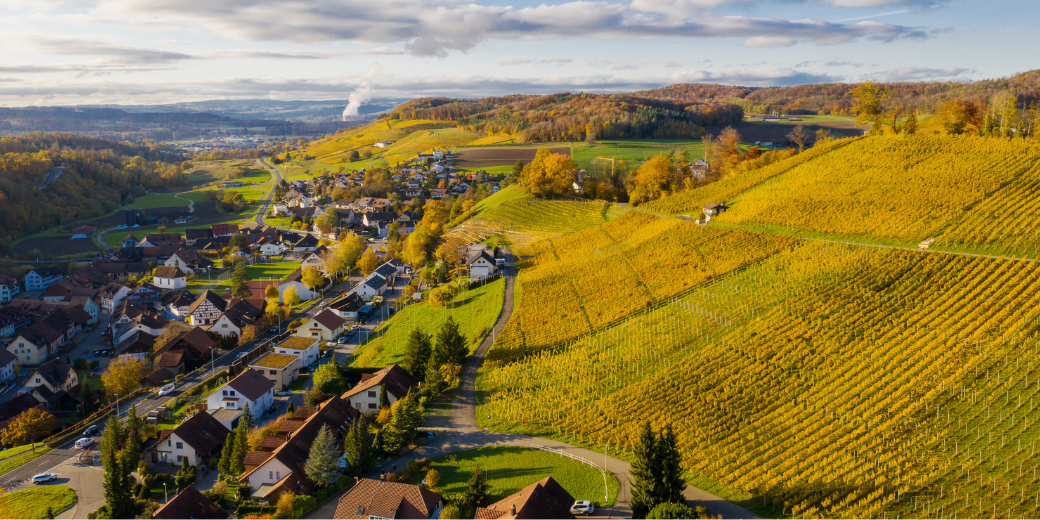 Baumgartner Weinbau AG